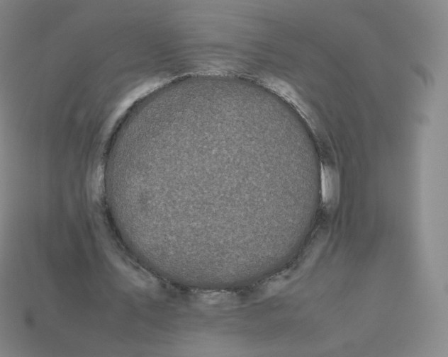 X0000113260579200910081341