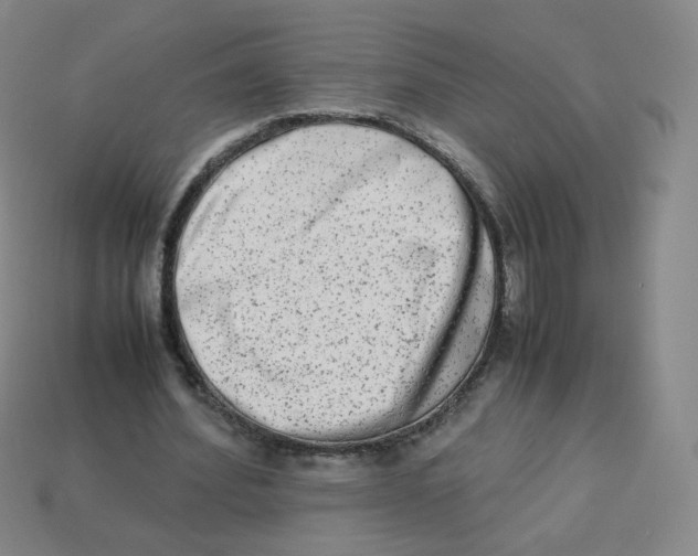 X0000113260580200910081341