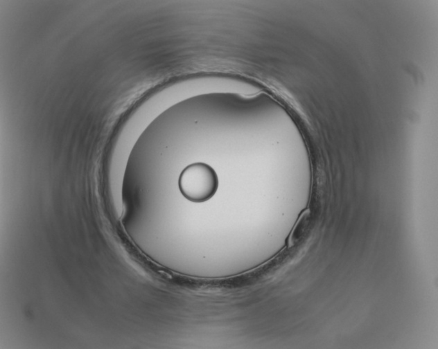 X0000113260581200910081341