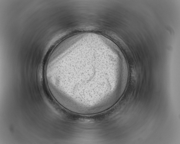 X0000113260582200910081341