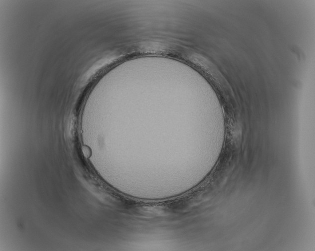 X0000113260583200910081341