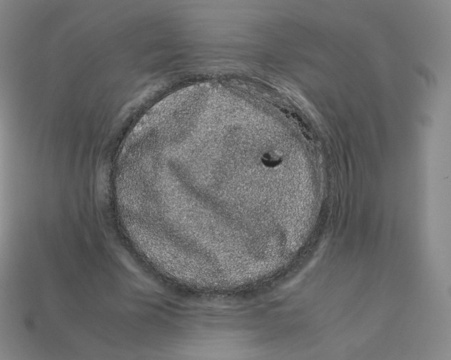 X0000113260585200910081341