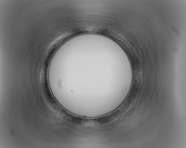X0000113260587200910081341