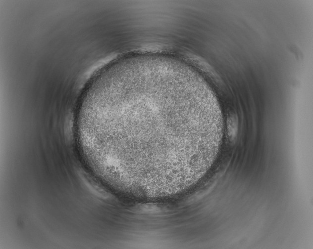X0000113260588200910081341