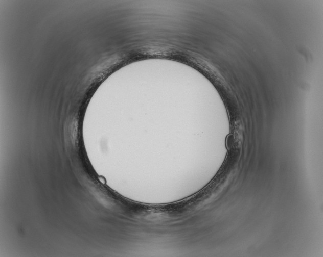 X0000113260589200910081341