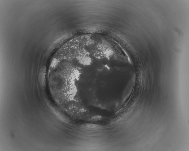 X0000113260590200910081341