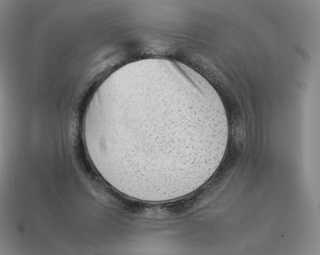 X0000113260591200910081341