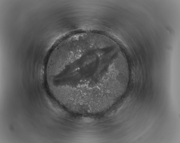 X0000113260592200910081341