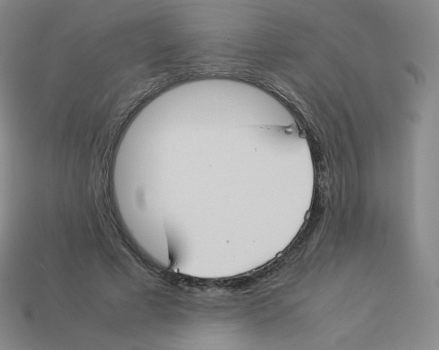 X0000113260593200910081341