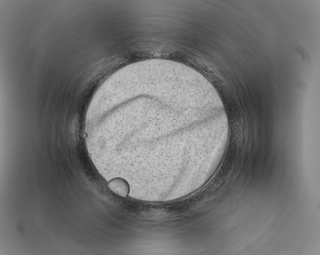 X0000113260594200910081341