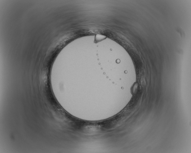 X0000113260595200910081341