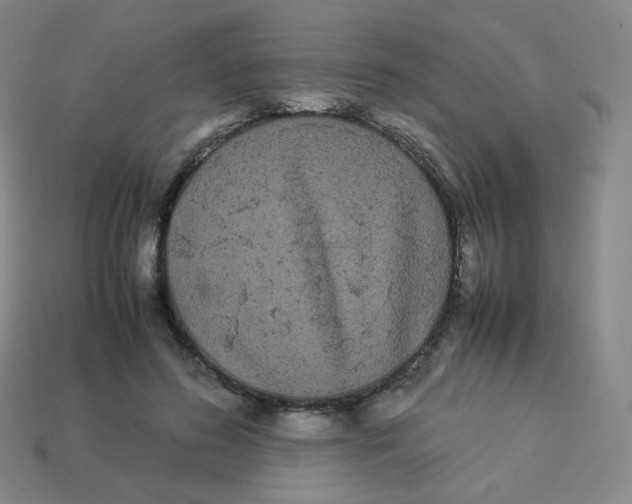 X0000113260596200910081341