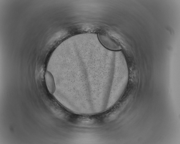 X0000113260597200910081341