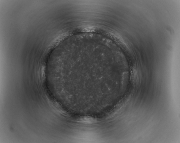 X0000113260598200910081341