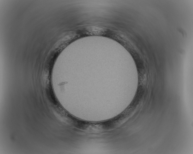 X0000113260599200910081341