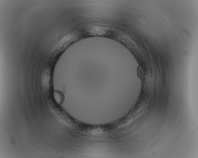 X0000113260600200910081341