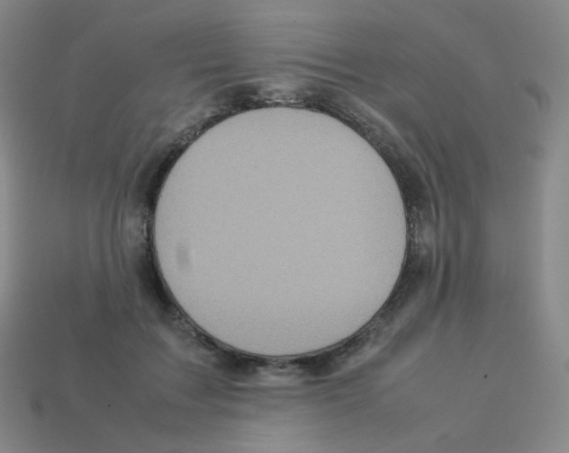 X0000113260603200910081341