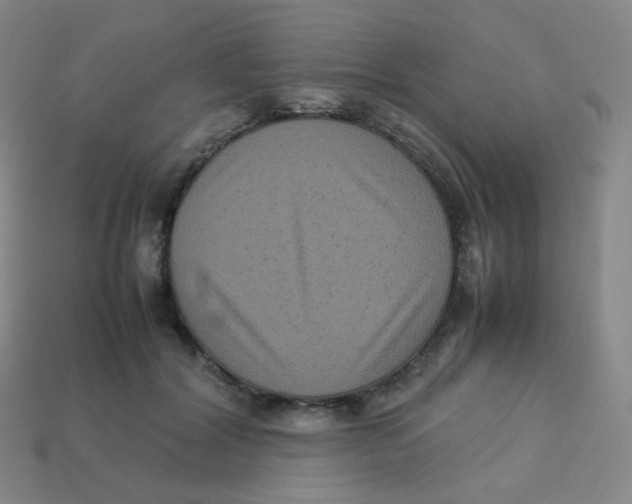 X0000113260604200910081341