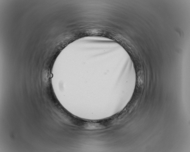 X0000113260605200910081341
