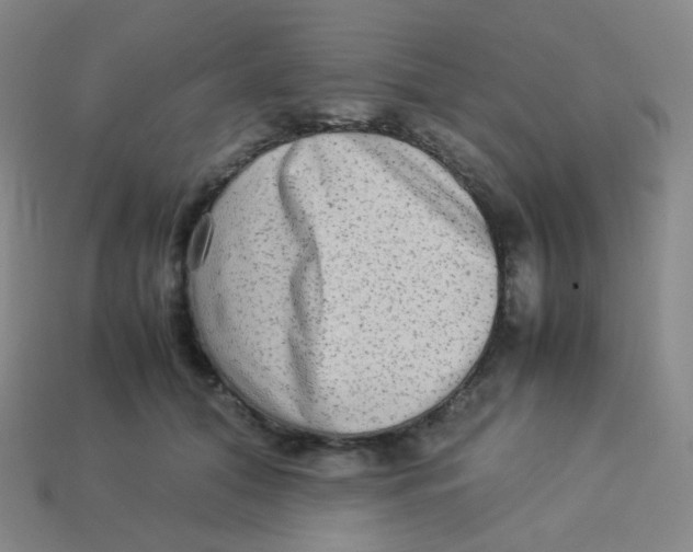 X0000113260608200910081341