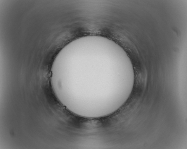 X0000113260609200910081341