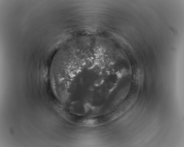X0000113260610200910081340