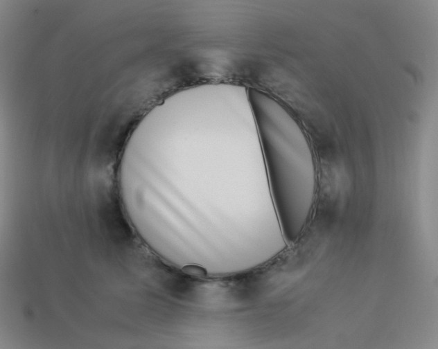 X0000113260611200910081340