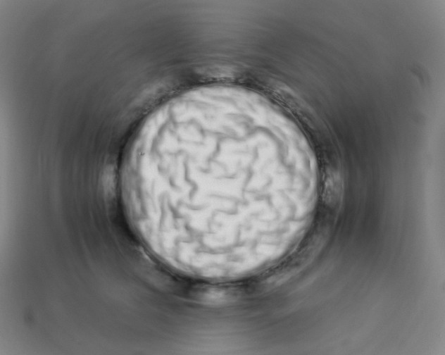 X0000113260612200910081340