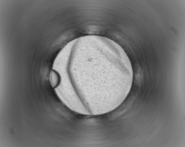 X0000113260620200910081340