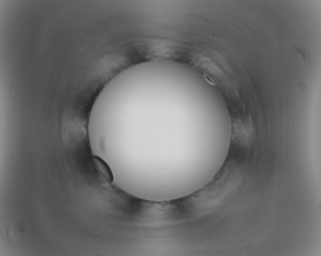 X0000113260621200910081340