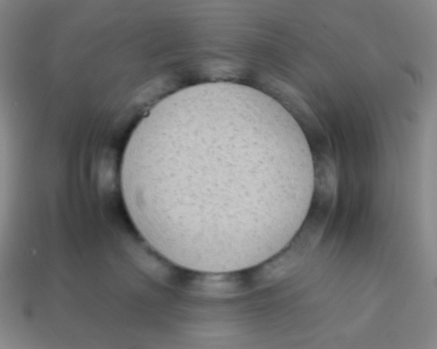 X0000113260622200910081340