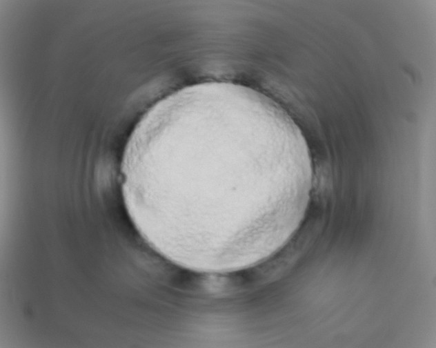 X0000113260623200910081340