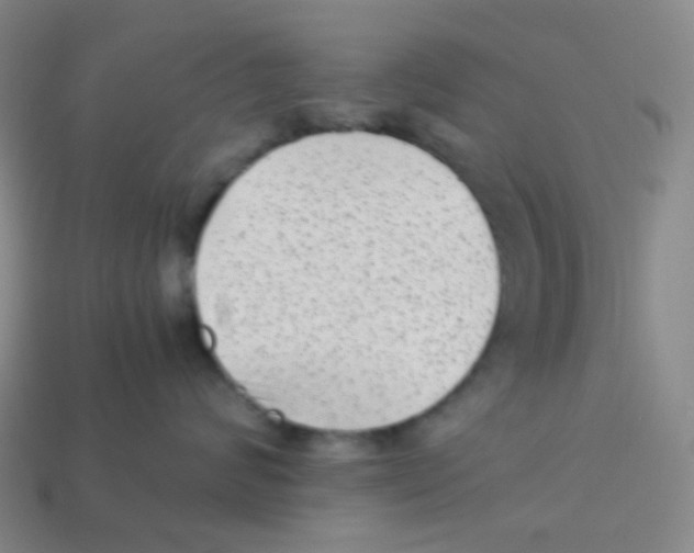 X0000113260624200910081340