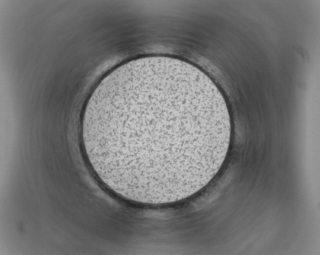 X0000113260625200910081340
