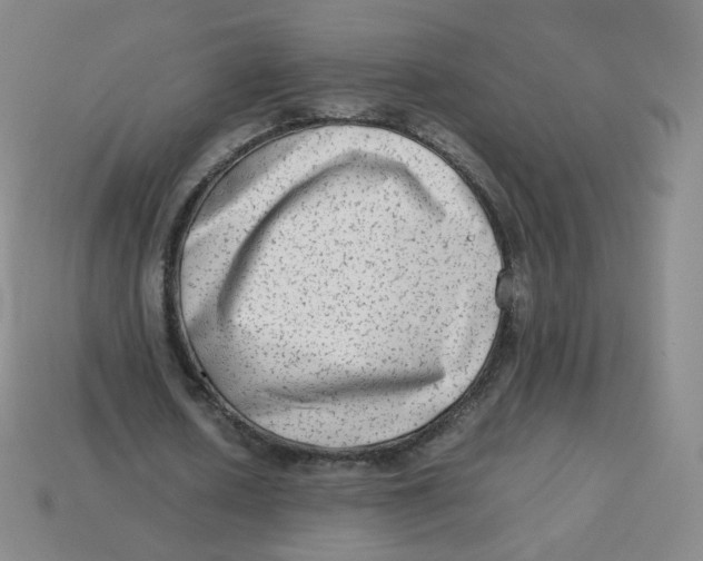 X0000113260626200910081340