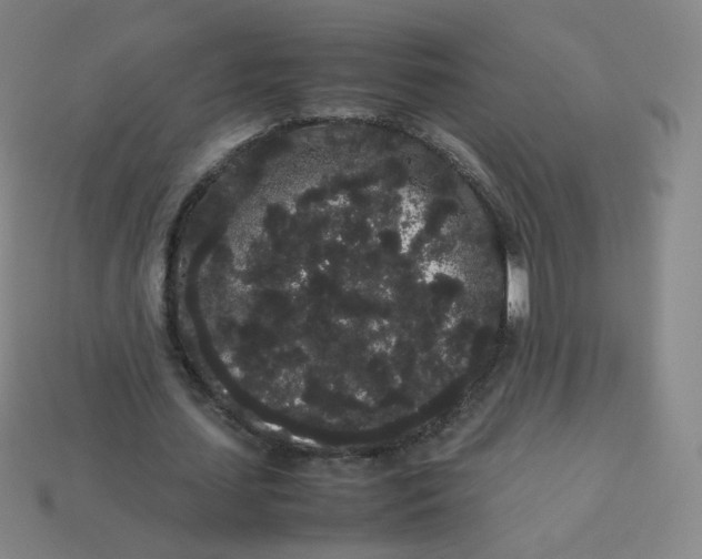 X0000113260627200910081340