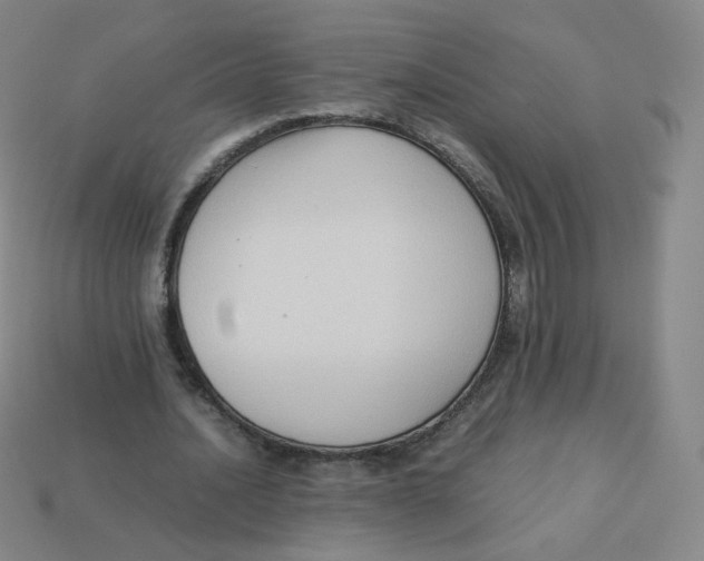 X0000113260628200910081340