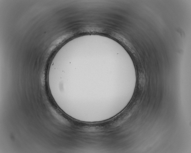 X0000113260629200910081340