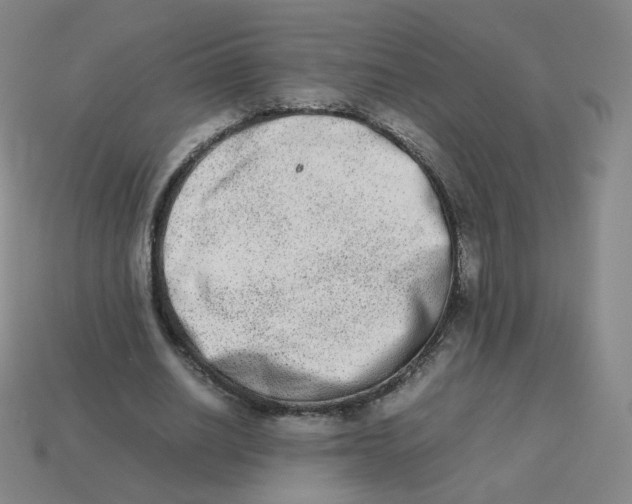 X0000113260630200910081340