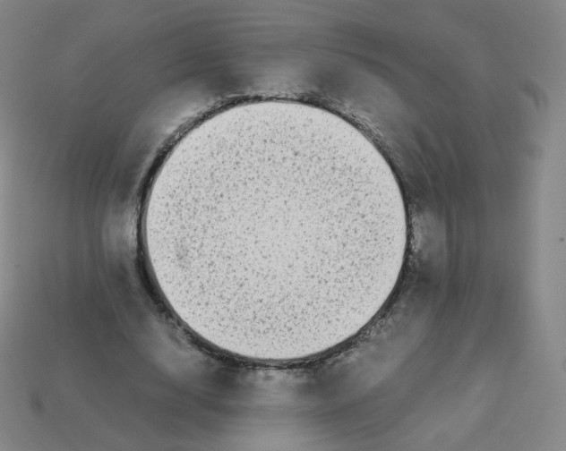 X0000113260632200910081340