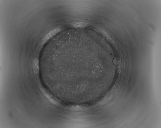 X0000113260634200910081340