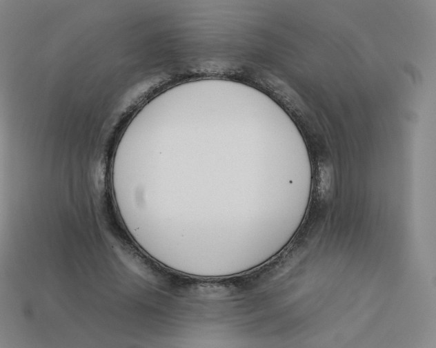 X0000113260636200910081340