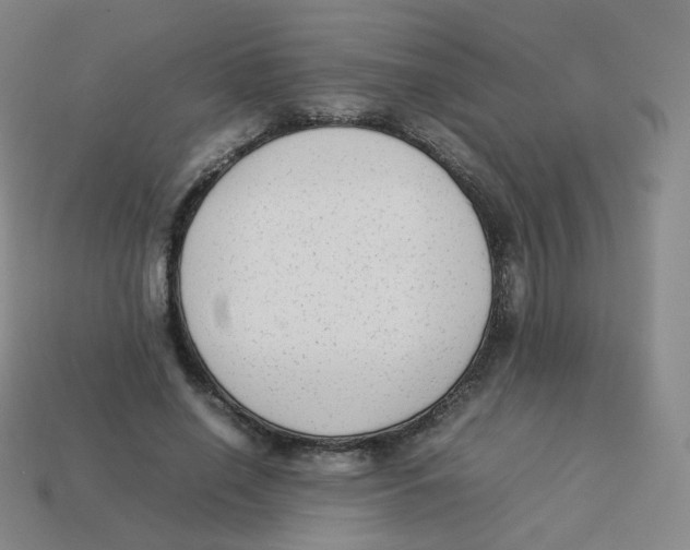 X0000113260638200910081340