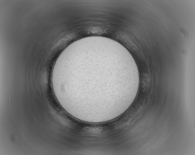 X0000113260639200910081340