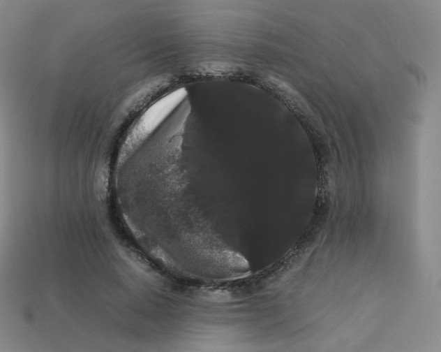 X0000113260640200910081340