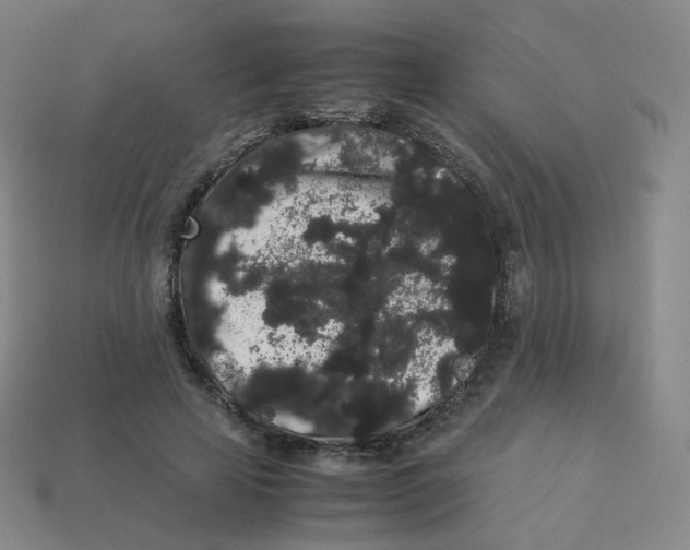 X0000113260641200910081340