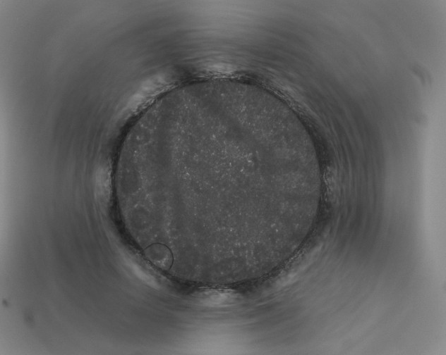 X0000113260642200910081340