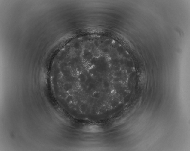 X0000113260643200910081340