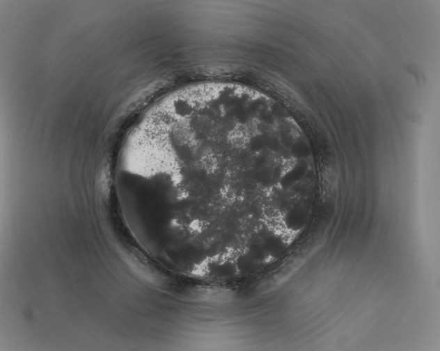 X0000113260644200910081340