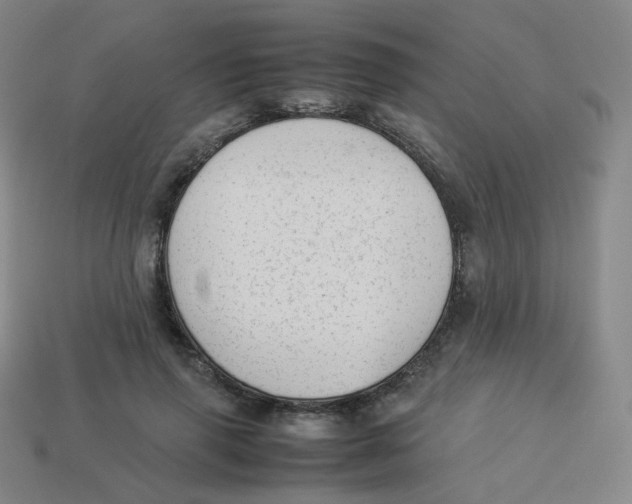 X0000113260645200910081340